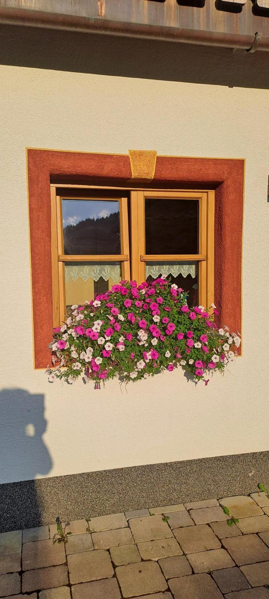 Ferienwohnung Steinernes Meer Maria Alm am Steinernen Meer Dış mekan fotoğraf