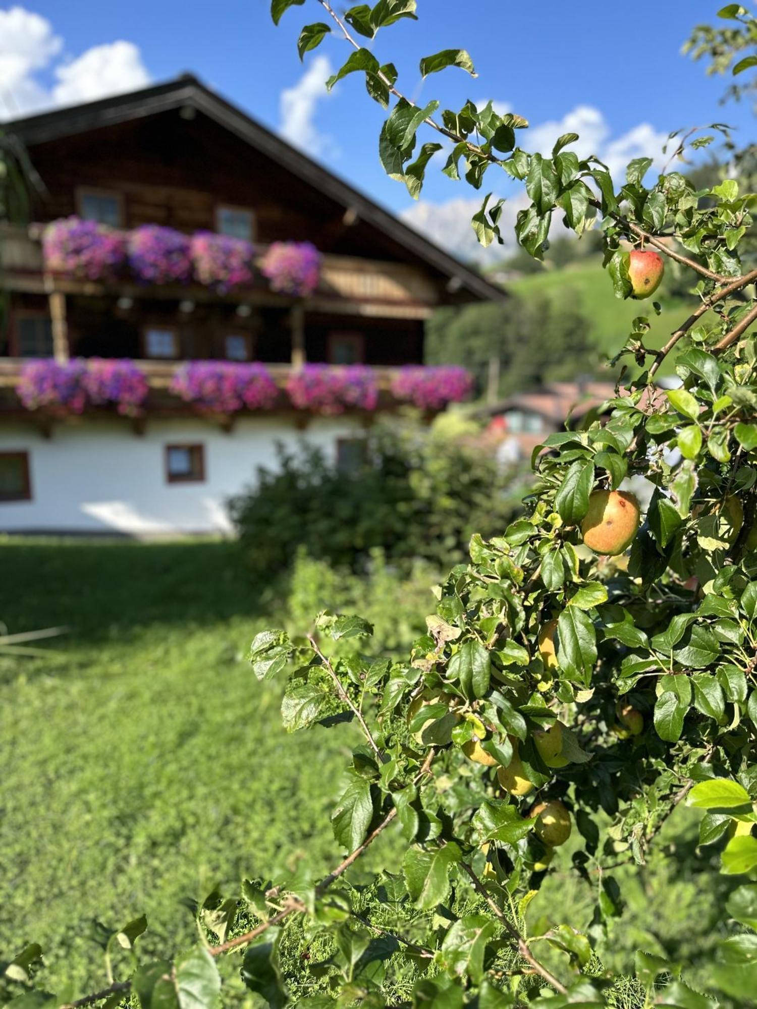 Ferienwohnung Steinernes Meer Maria Alm am Steinernen Meer Dış mekan fotoğraf