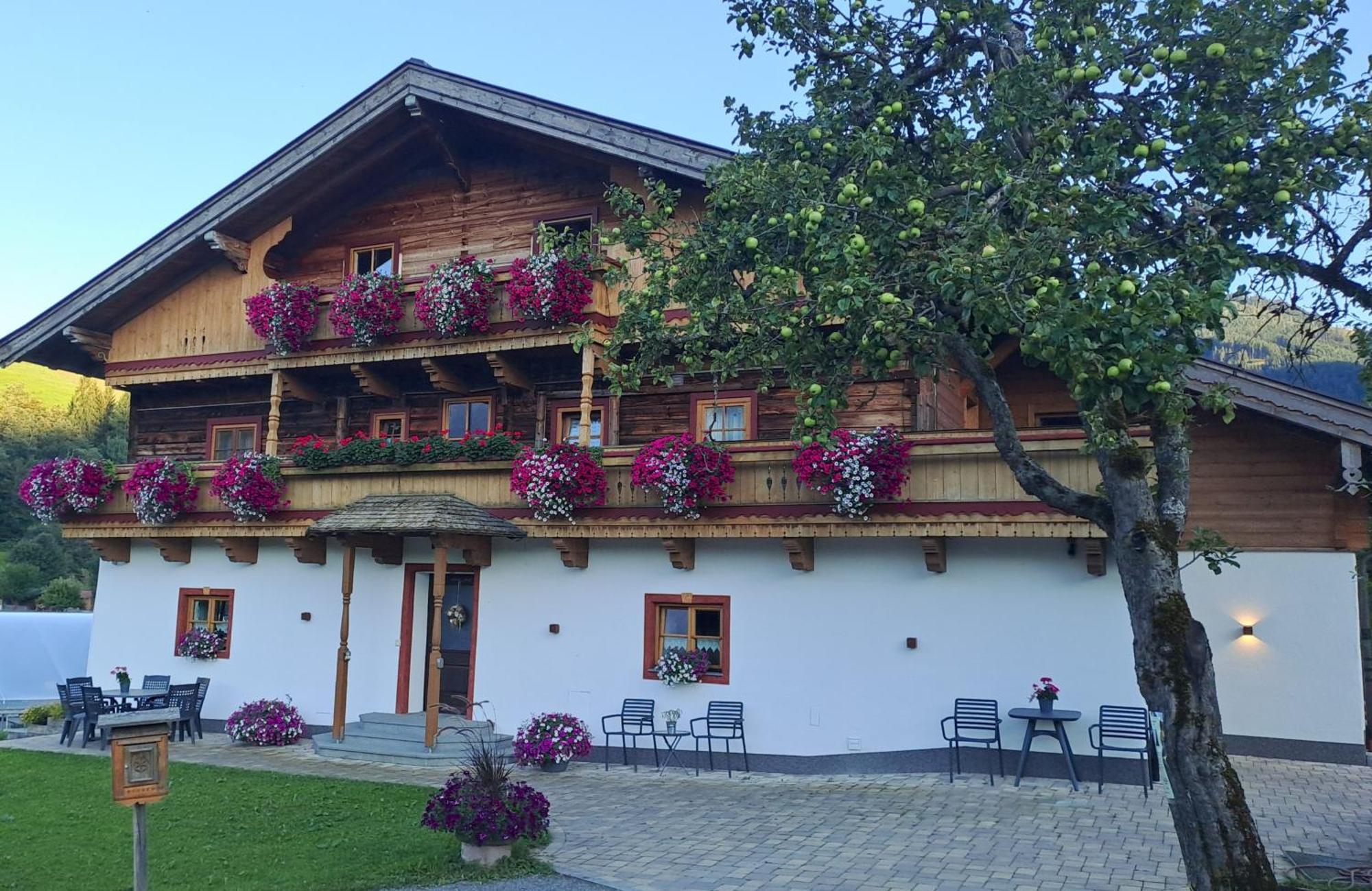 Ferienwohnung Steinernes Meer Maria Alm am Steinernen Meer Dış mekan fotoğraf