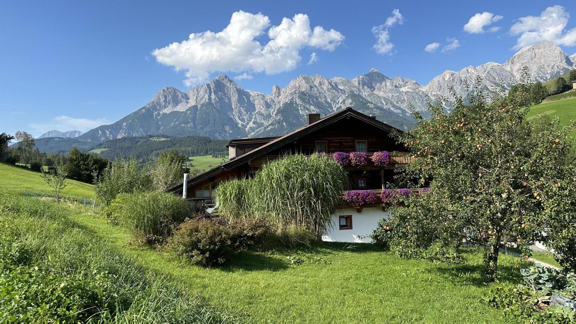 Ferienwohnung Steinernes Meer Maria Alm am Steinernen Meer Dış mekan fotoğraf